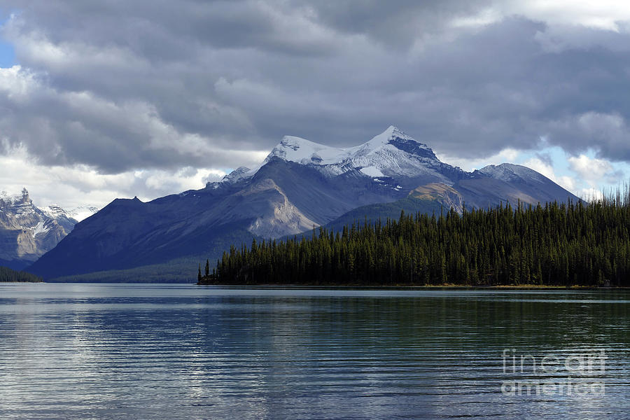 Maligne Lake - Forest and Mountain Photograph by Phil Banks