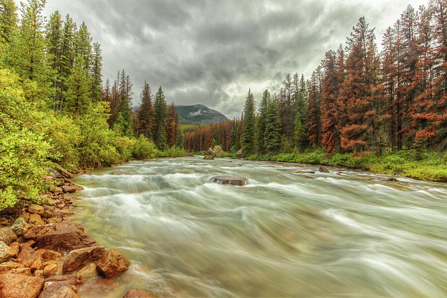 Maligne River Photograph By Jerad Roberts 