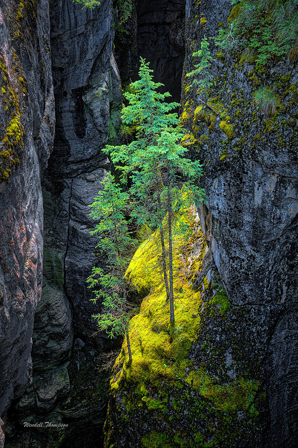 Malinge Canyon, Canadian Rockies Photograph by Wendell Thompson