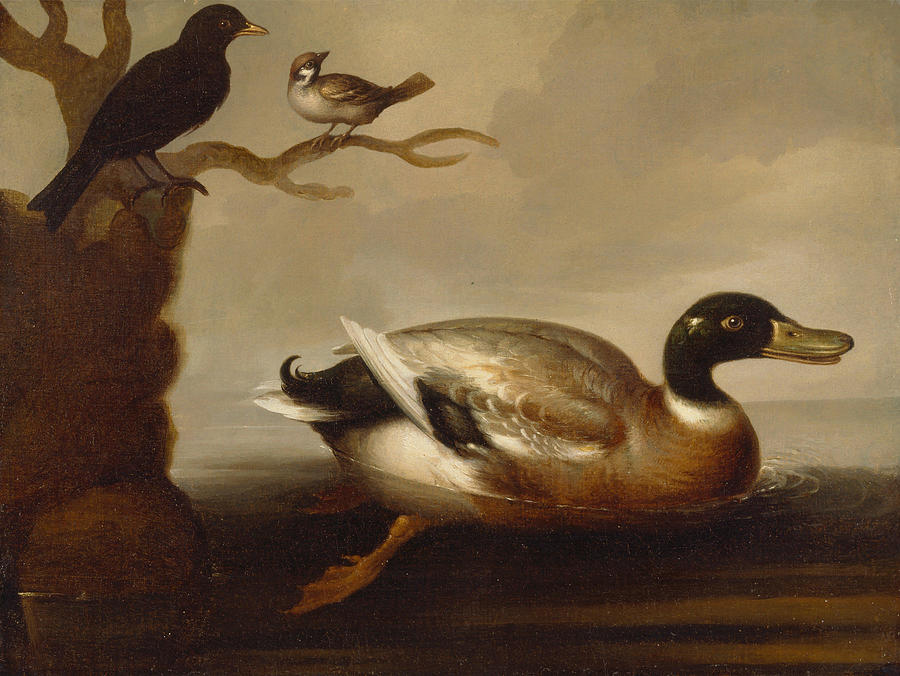 Duck Painting - Mallard Duck and Other Birds  by Unknown artist