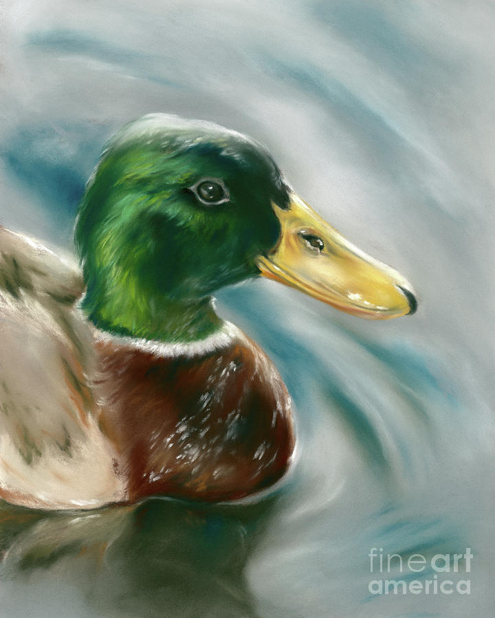 Mallard Duck on the Water Painting by MM Anderson