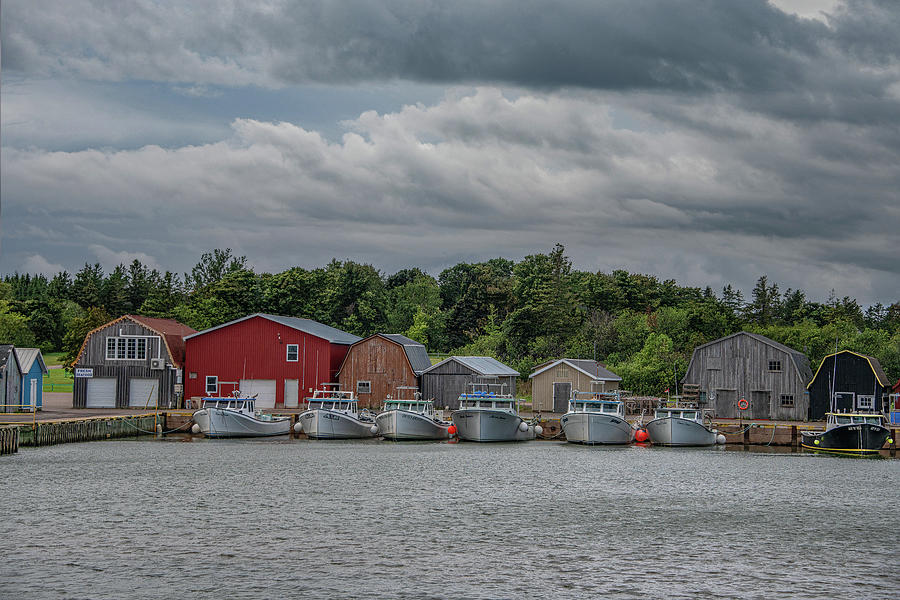 Malpeque Harbor Before the Storm Photograph by Marcy Wielfaert