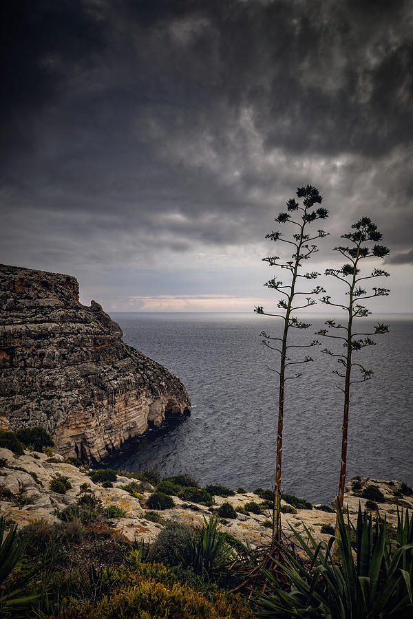 Malta Sea Coast On Gloomy Morning Photograph by Artur Bogacki