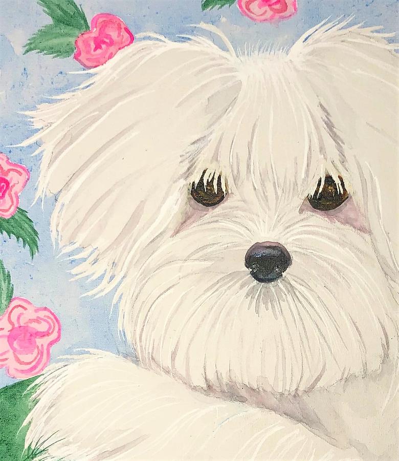 Maltese Painting - Maltese Puppy by Judy Thompson