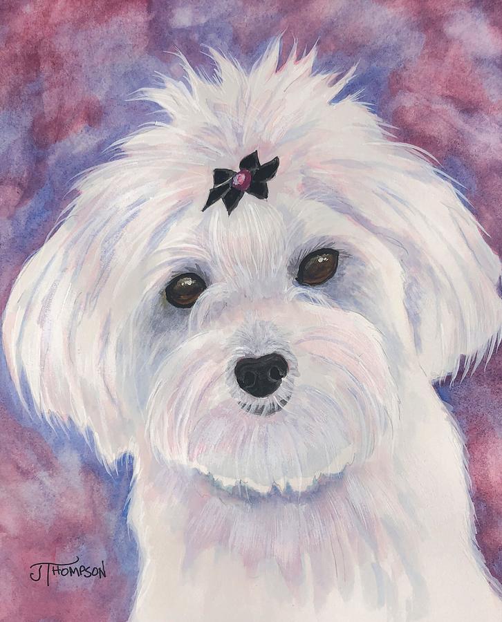 Maltese Painting - Maltese with Bow by Judy Thompson