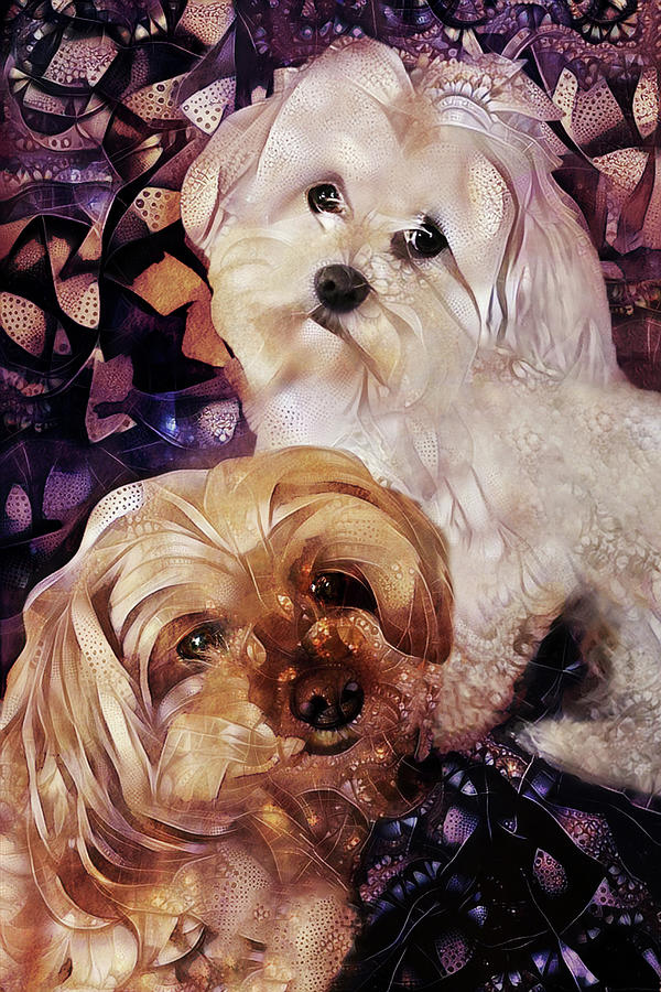 Dog Digital Art - Maltipoo Times Two - The Love Bugs by Peggy Collins