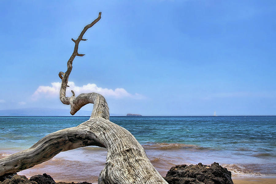 Beach Photograph - Maluaka Beach by DJ Florek
