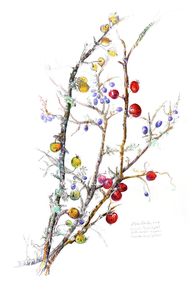 Malus and Prunus  Spinoza  Painting by Gloria Newlan