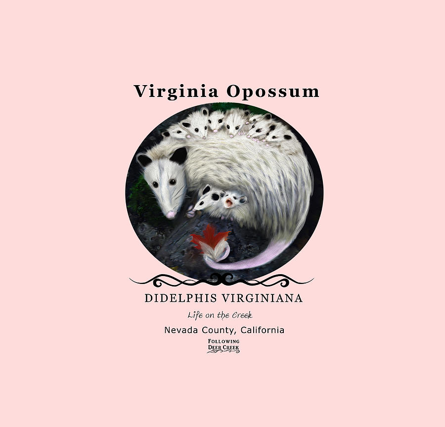 Mama Opossum  Digital Art by Lisa Redfern