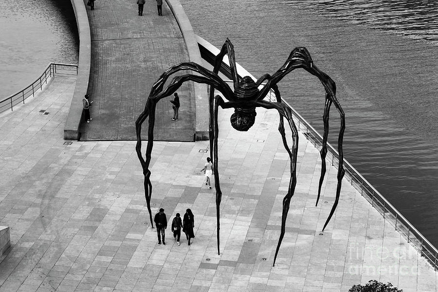 Maman Giant Spider Sculpture Bilbao Spain Photograph by James Brunker