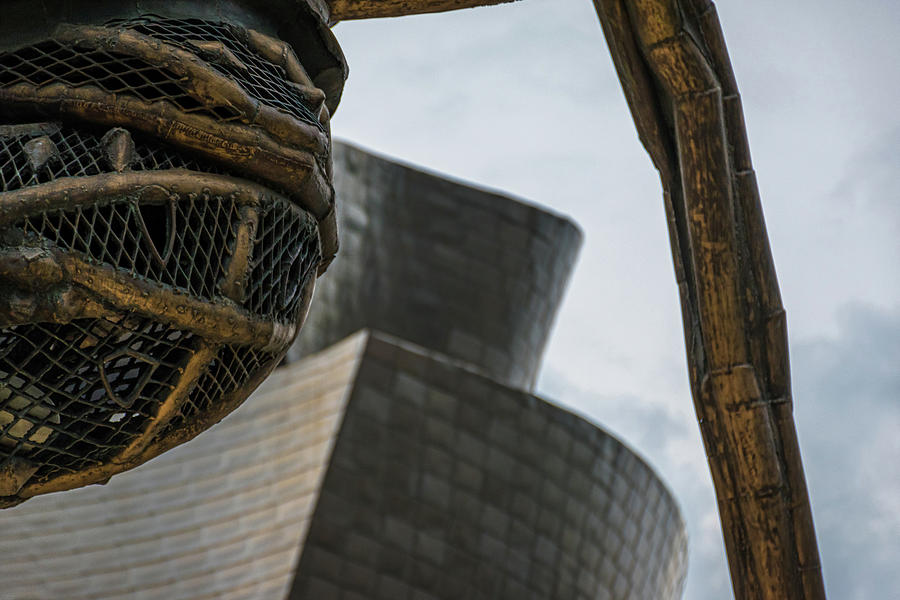 Maman Spider in Guggenheim Bilbao - II Photograph by Luis GA
