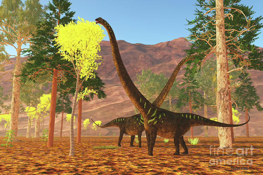 Mamenchisaurus Dinosaur Eating Digital Art by Corey Ford