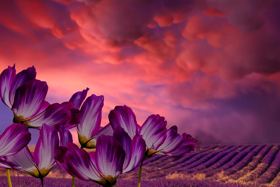 Mammatus and Flowers Digital Art by Ally White