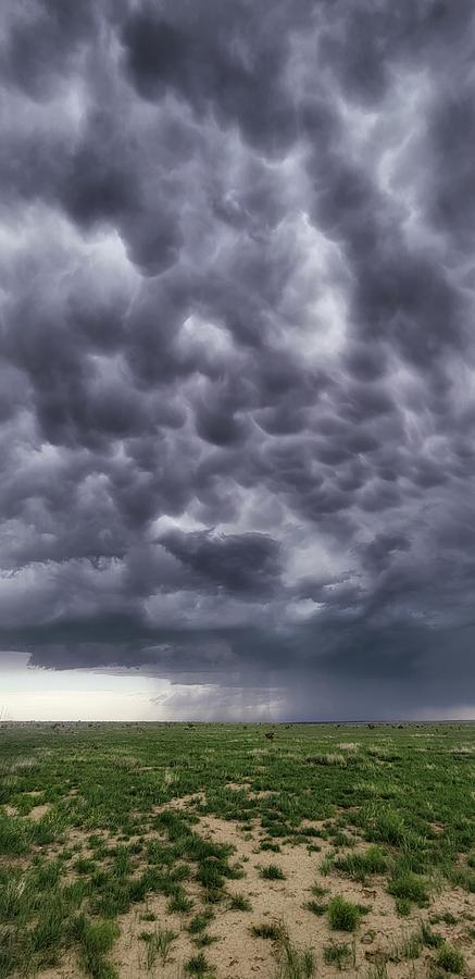 Mammatus Clouds in Colorado  Photograph by Ally White