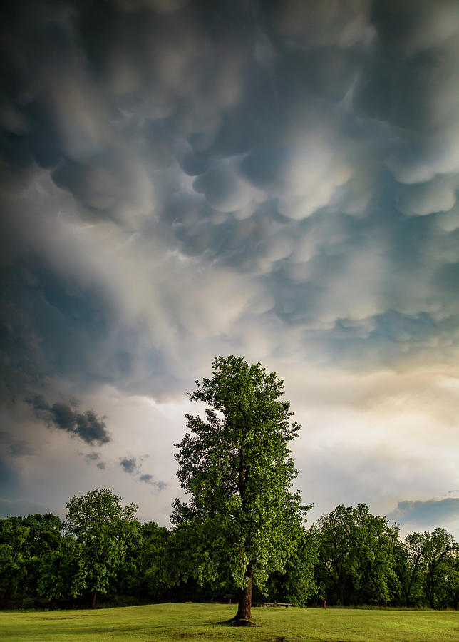 Mammatus Sky Photograph