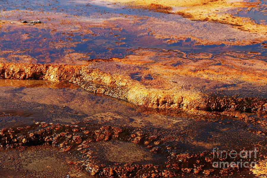 Mammoth Hot Spring Colors and Texture Photograph by Christiane Schulze Art And Photography
