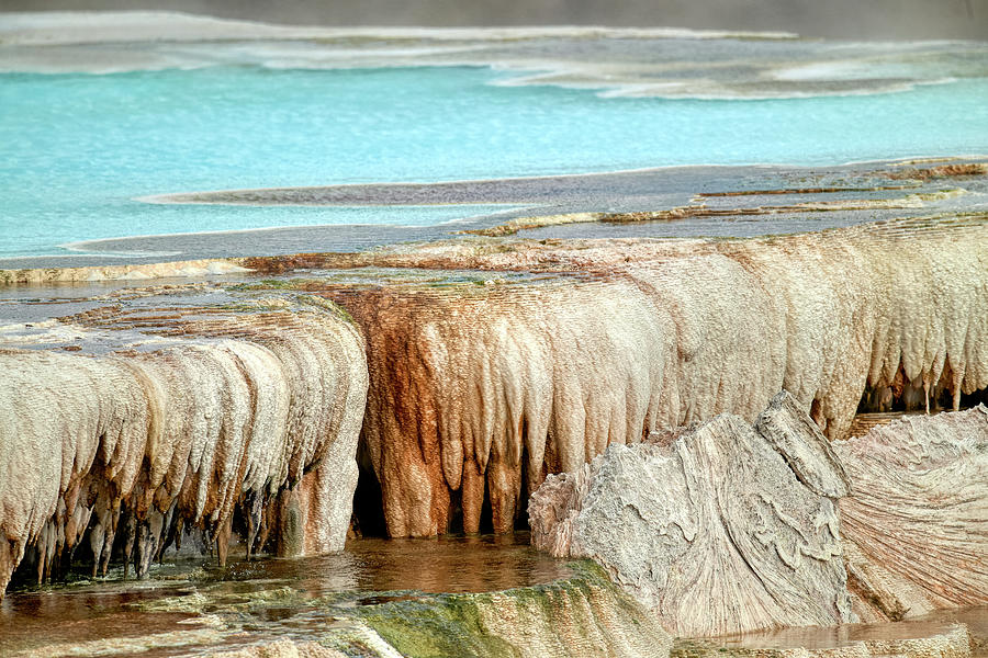 Mammoth hot spring Details Photograph by Paul Freidlund