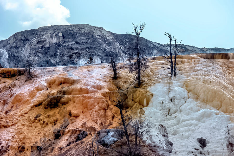 Mammoth Hot Springs 2 Photograph by Cathy Anderson