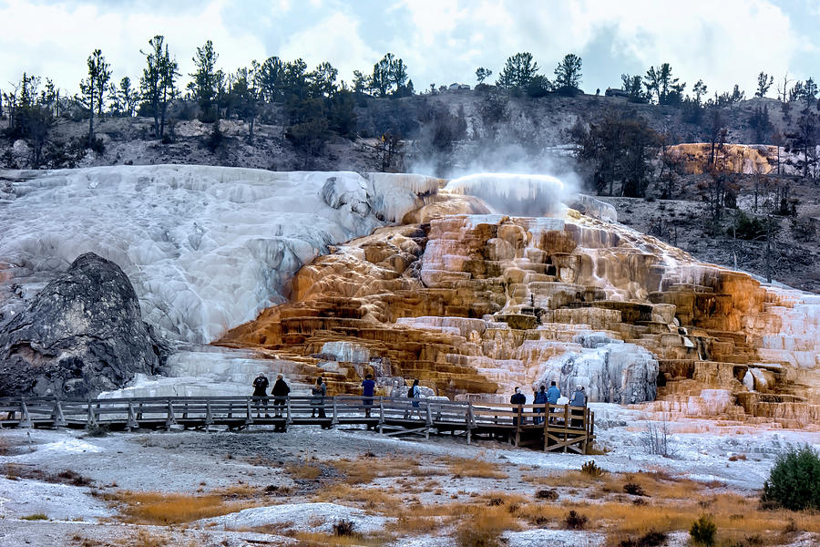 Mammoth Hot Springs  Photograph by Cathy Anderson