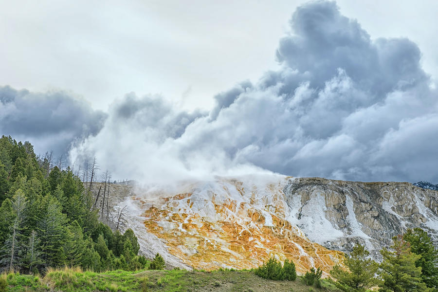 Mammoth Hot Springs Photograph by CR Courson