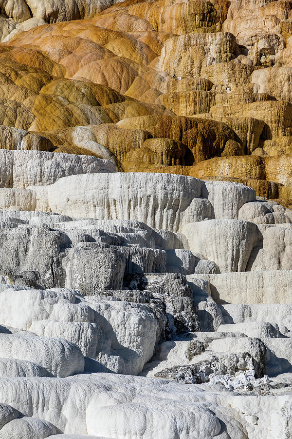 Mammoth Hot Springs Photograph by James Marvin Phelps