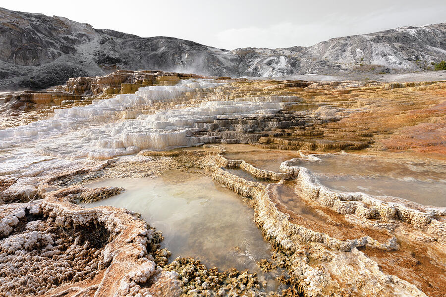 Mammoth Hot Springs Photograph By Katie Dobies - Fine Art America