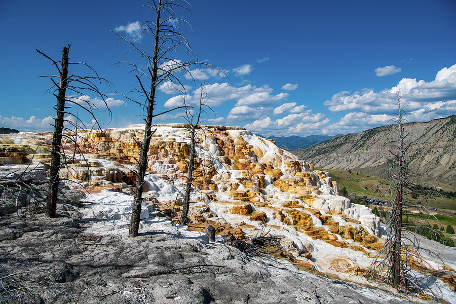 Mammoth Hot Springs  Photograph by Rose Guinther