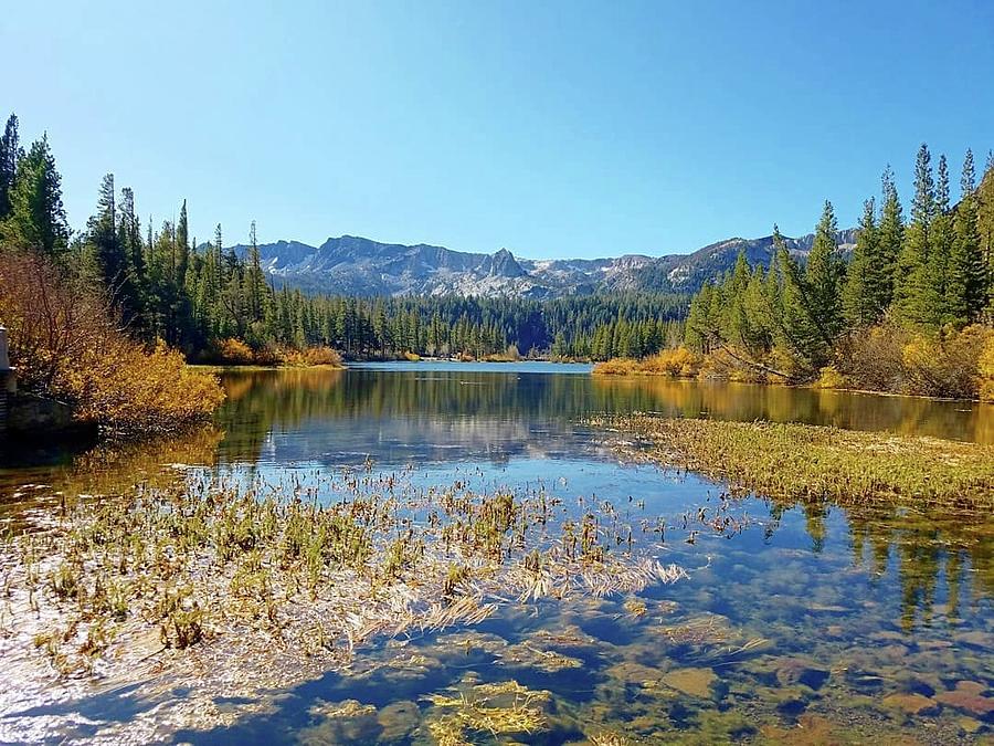 Mammoth Lakes Photograph by Connor Childress - Fine Art America