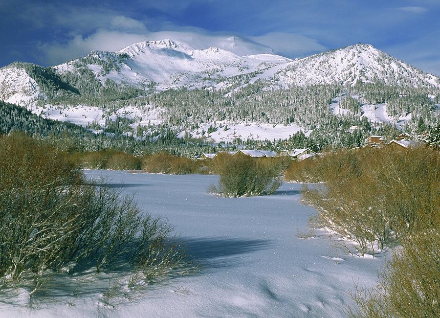 Mammoth Mountain - Snow Creek - Meadow - Mammoth Lakes, California Photograph by Bonnie Colgan