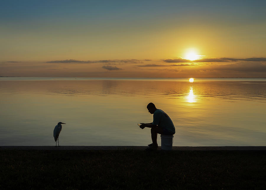 Man meets Bird Photograph by Al Hurley