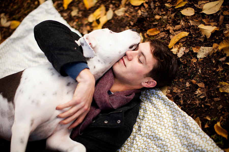 Man and dog hugging on picnic blanket Photograph by Image Source/Wonwoo Lee