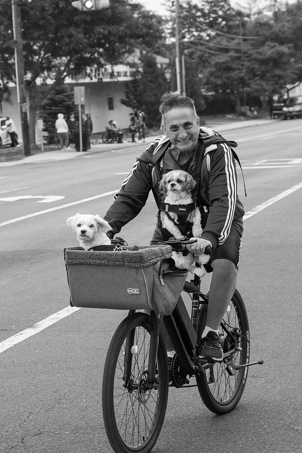Man and dogs on bike Photograph by Steve Gravano