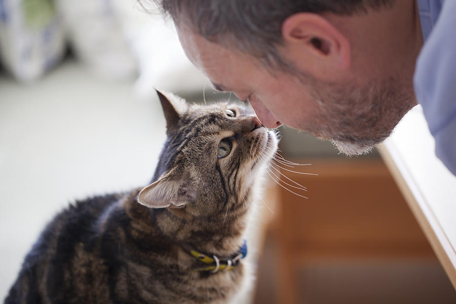 man and old cat: real Love Photograph by 1001slide