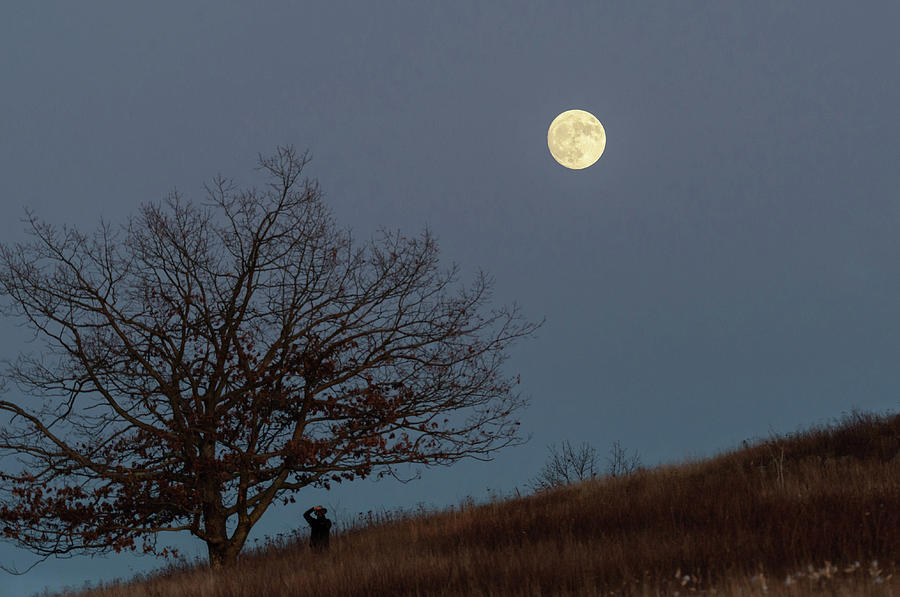 Man and The Moon Photograph by Lara Ellis