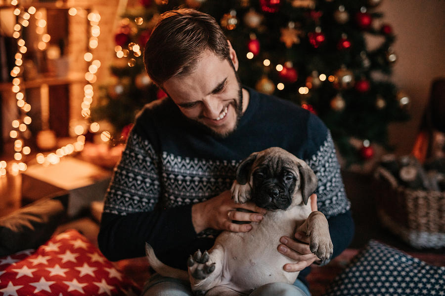 Man cuddling dog and enjoying Christmas holiday Photograph by Anchiy