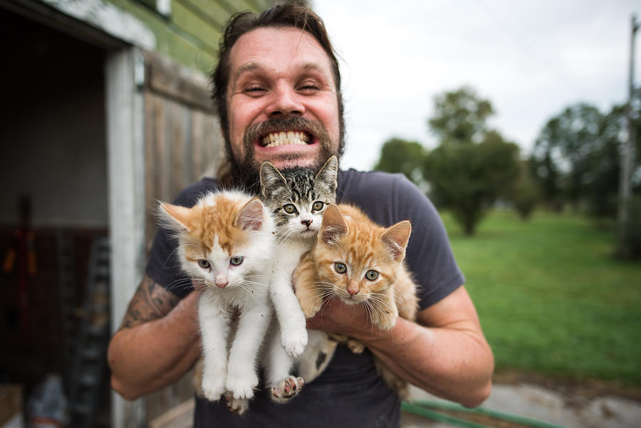 Man grinning with three kittens in arms Photograph by Viara Mileva