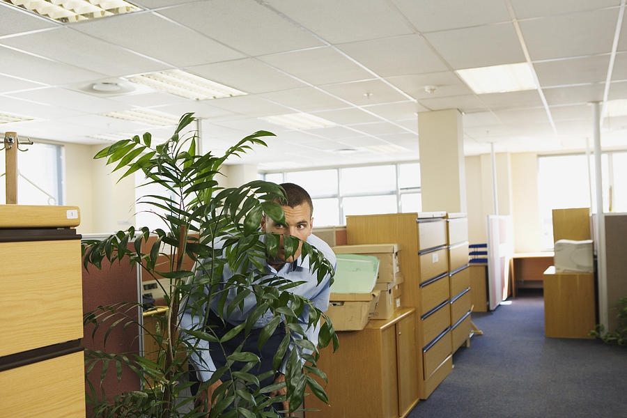 Man hiding behind plant in office looking through foliage Photograph by Anthony Harvie