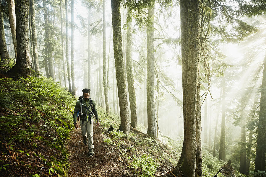 Man hiking along trail in forest on foggy morning Photograph by Thomas Barwick