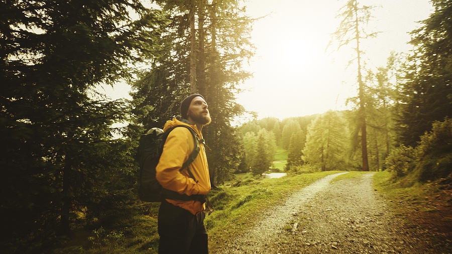 Man hiking and exploring forest area Photograph by Piola666