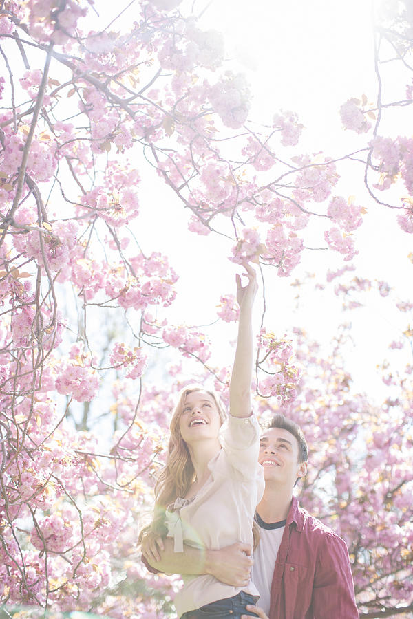 Man lifting girlfriend to reach pink flowers on tree Photograph by Justin Pumfrey