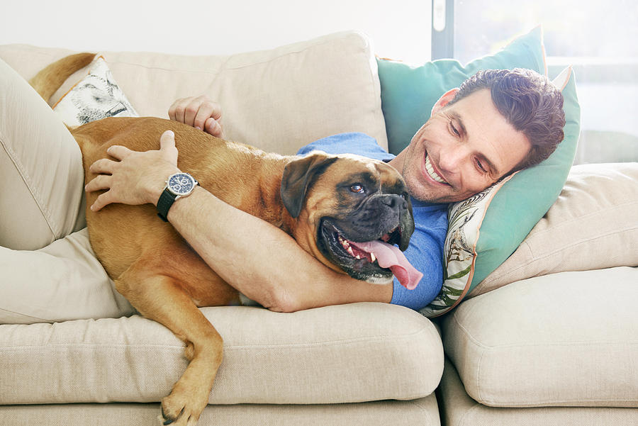Man lying down cuddling bid dog on the sofa Photograph by Tara Moore