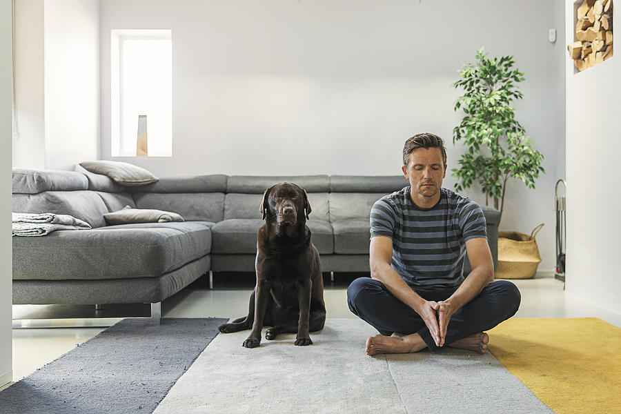 Man meditating with his pet dog Photograph by Justin Paget