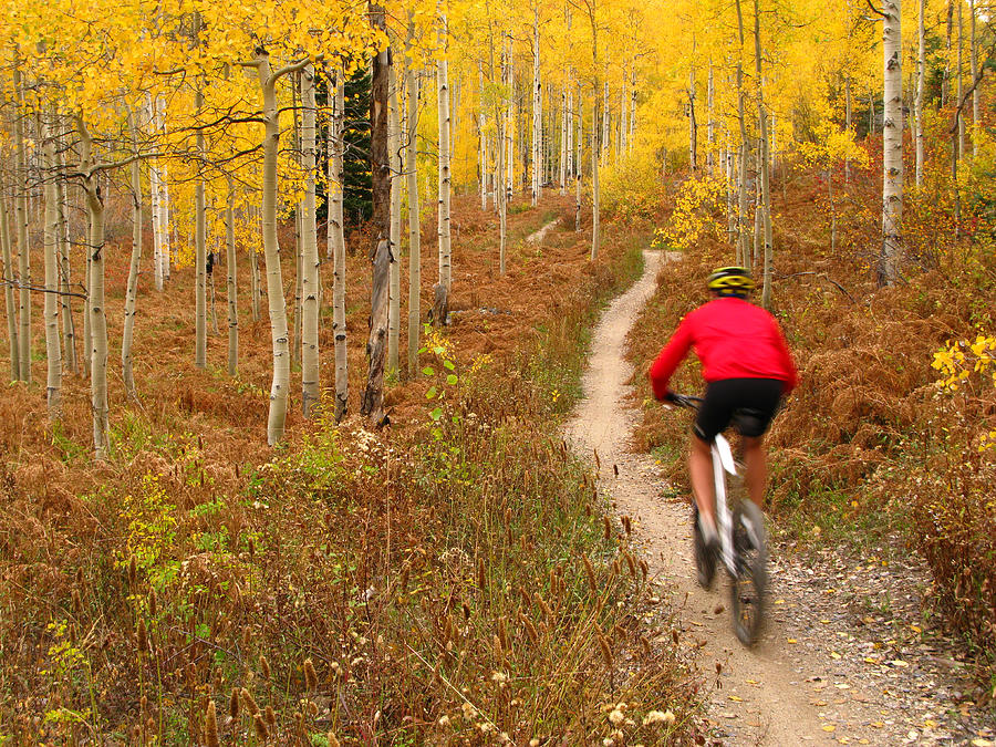 Man mountain biking in fall season Photograph by David Epperson