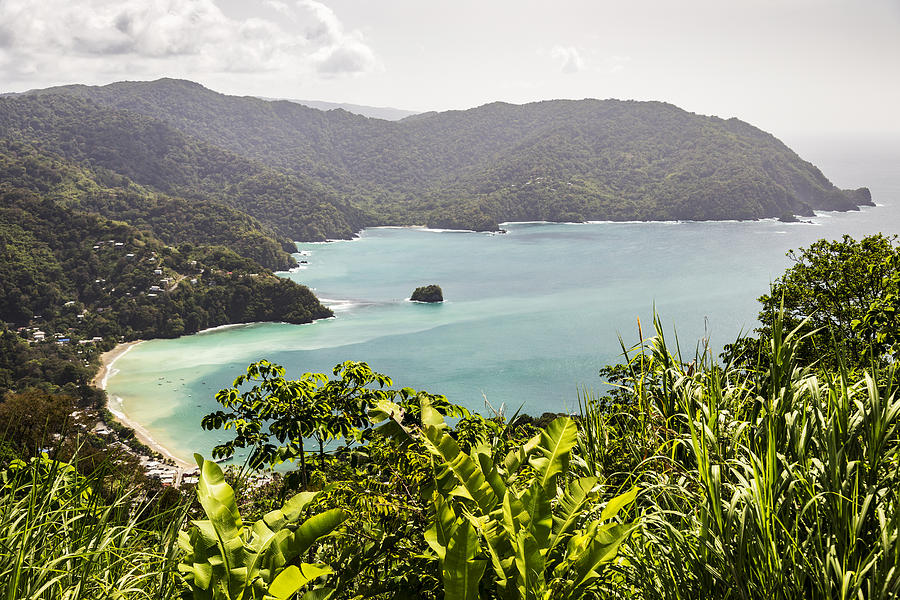 Man O War Bay from Flagstaff Hill in Tobago Photograph by Stickney Design