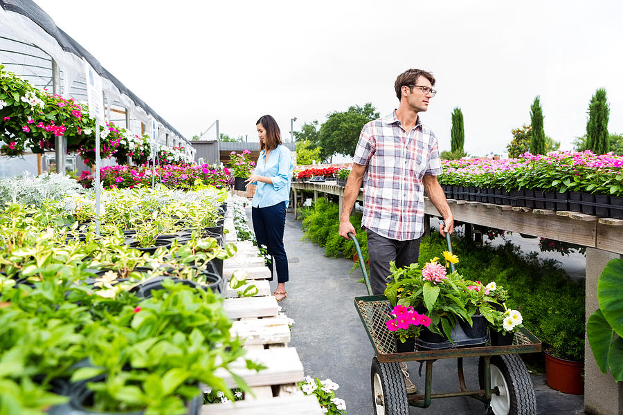Man pushes cart full of flowers in nursery Photograph by SDI Productions