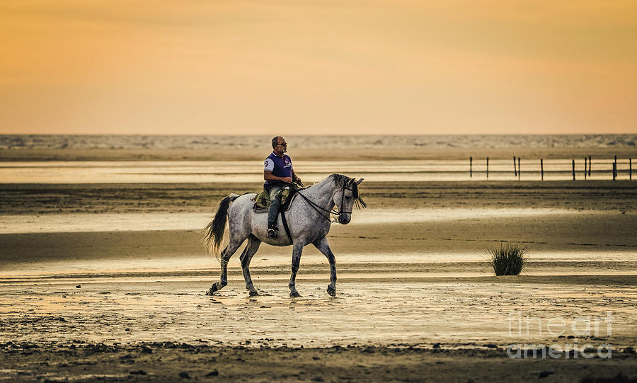 Man riding a Andalusian horse during sunset Photograph by Perry Van Munster