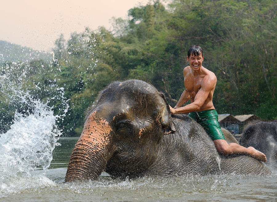 Man riding and bathing an Elephant, Tropical Rain Forest Photograph by 4fr