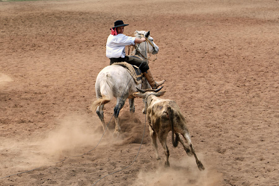 Man riding on horse Photograph by Lelia Valduga