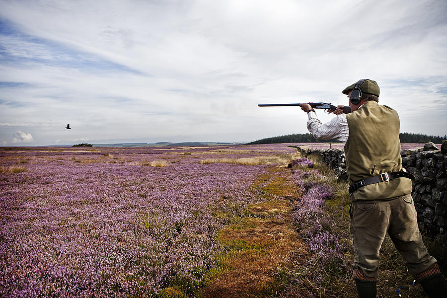 Man shooting birds in field of flowers Photograph by Cultura RM Exclusive/Tim E White