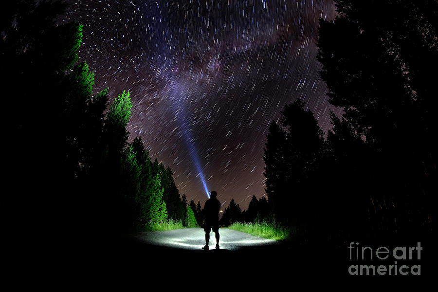 Man Standing in Dark Stars with Flashlight Forest Night Sky Photograph by Lane Erickson